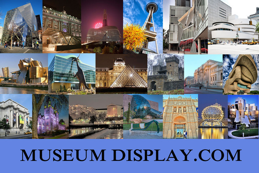 Museum Quality Display Case Specifications: What to Know
